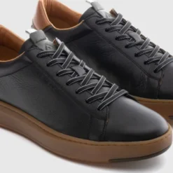 Ambitious 136726584- Trainer.