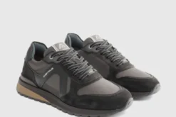 Ambitious 1414611184- Trainer.