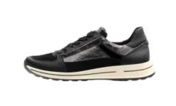 Ara 122482601-Trainer.