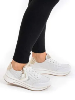 Ara 122755004-Trainer.