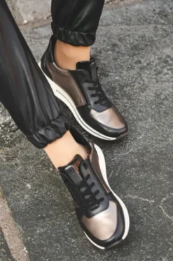 Ara 122483615-Trainer.