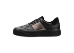 Ara 122301218-Trainer.