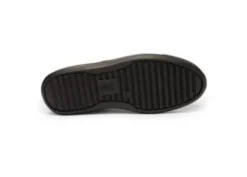 Ara 122301218-Trainer.