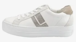 Paul Green 5430067-Trainer.