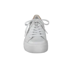 Paul Green 5330015- Trainer.