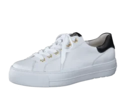 Paul Green 5320085-Trainer.