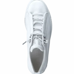 Paul Green 5017213-Trainer.