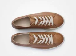 Paul Green 4790637- Trainer.