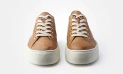 Paul Green 4790637- Trainer.