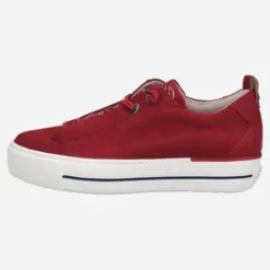 Paul Green 5017326- Trainer.