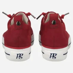 Paul Green 5017326- Trainer.