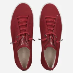 Paul Green 5017326- Trainer.