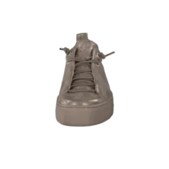 Paul Green 5417066- Trainer.