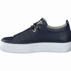 Paul Green 5017013- Trainer.
