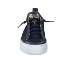 Paul Green 5017013- Trainer.