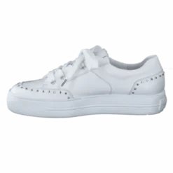 Paul Green 5381036-Trainer.