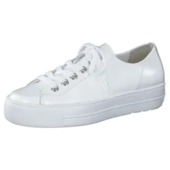 Paul Green 4790155- Trainer.