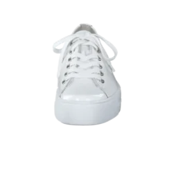 Paul Green 4790155- Trainer.