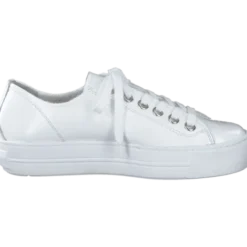 Paul Green 4790155- Trainer.