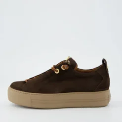 Paul Green 5017448- Trainer.