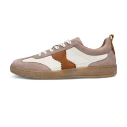 Salamander Beige and Tan Trainer|F31ARN0314
