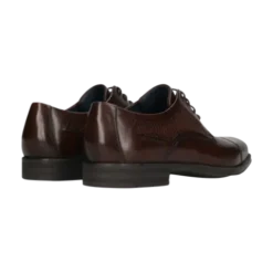 Salamander Brown Lace-Up Business Shoe |E11AUU026