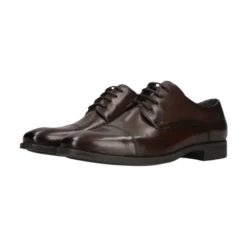 Salamander Brown Lace-Up Business Shoe |E11AUU026