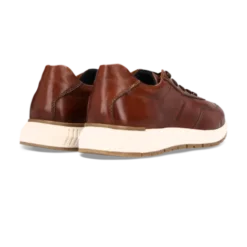 Salamander Cognac Leather Trainer|E31ASA0563