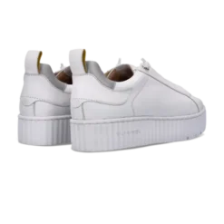Salamander White Leather Platform Trainer|F31ARP0320
