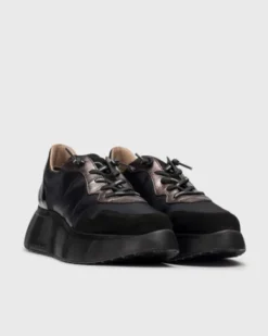 Wonders A3631BL- Trainer.